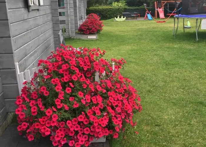 Letniskowe Drewniane Szenodo Na Jodlowej